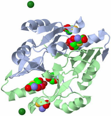 Image Asym./Biol. Unit