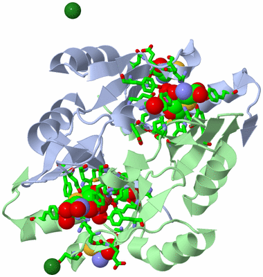 Image Asym./Biol. Unit - sites