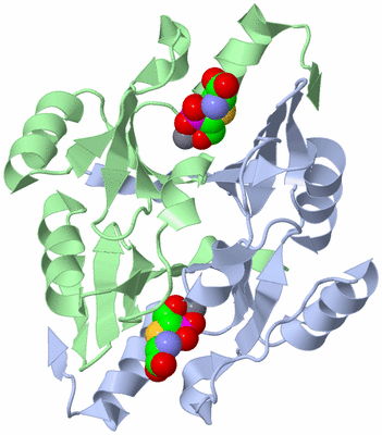 Image Asym./Biol. Unit