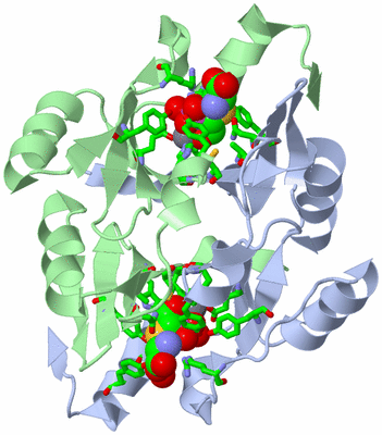 Image Asym./Biol. Unit - sites