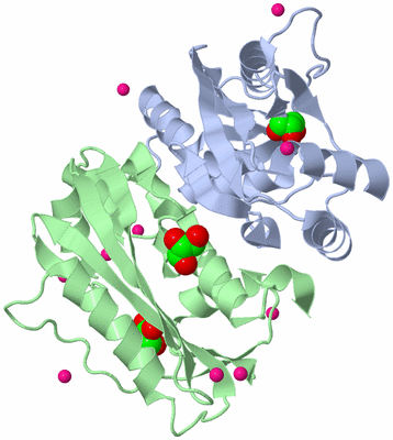 Image Asym./Biol. Unit