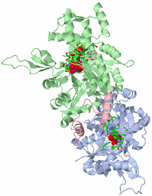 Image Biol. Unit 1 - sites