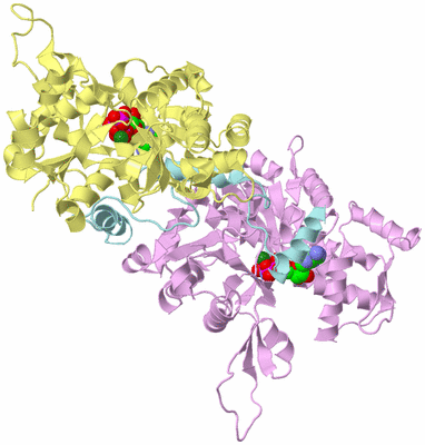 Image Biological Unit 2