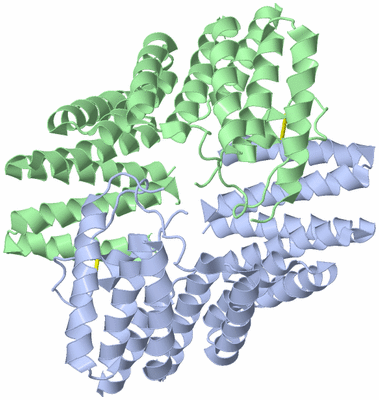 Image Asym./Biol. Unit