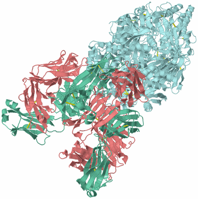 Image Biological Unit 1