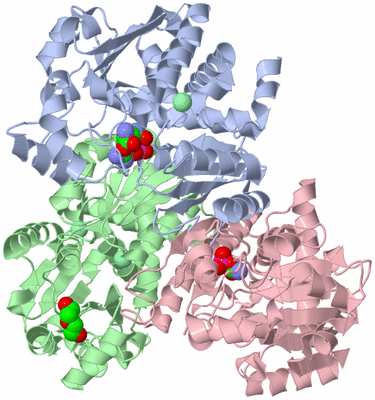 Image Asym./Biol. Unit