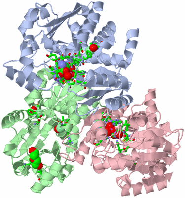 Image Asym./Biol. Unit - sites