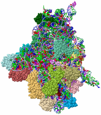 Image Asym./Biol. Unit