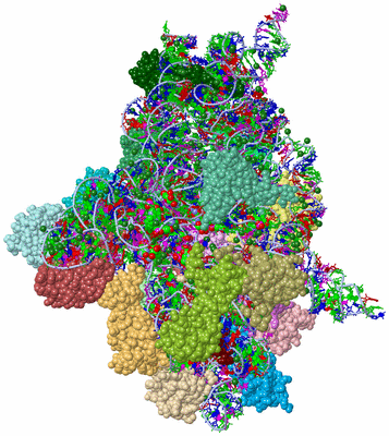 Image Asym./Biol. Unit