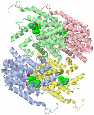 Image Asym./Biol. Unit