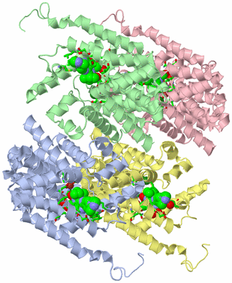 Image Asym./Biol. Unit - sites