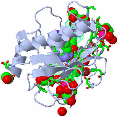 Image Biol. Unit 1 - sites