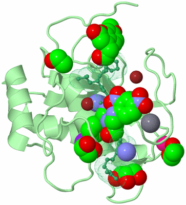 Image Biological Unit 2