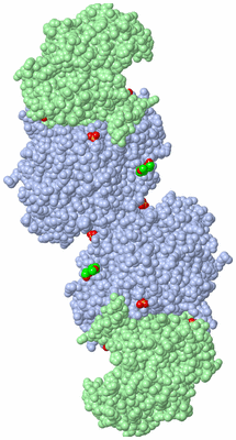 Image Biological Unit 2