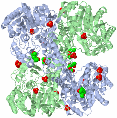 Image Biological Unit 3