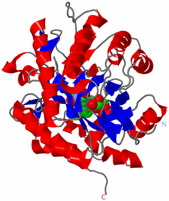 Image Asym./Biol. Unit