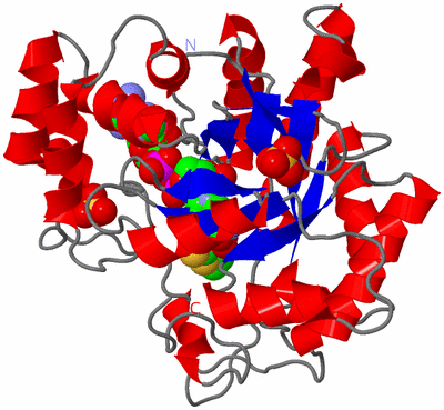 Image Asym./Biol. Unit