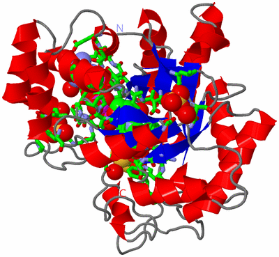 Image Asym./Biol. Unit - sites