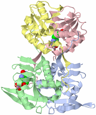 Image Asym./Biol. Unit