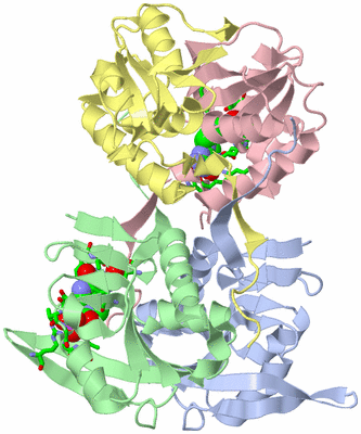 Image Asym./Biol. Unit - sites