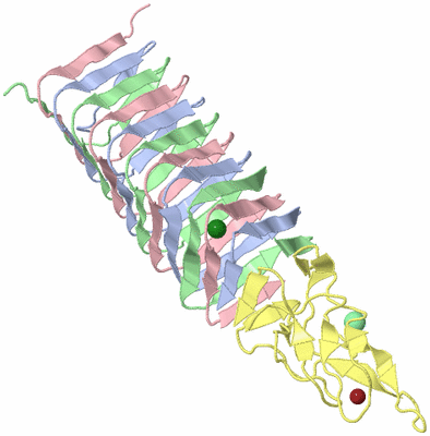 Image Biological Unit 1