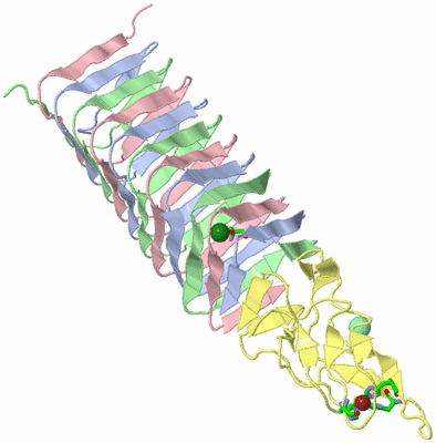 Image Biol. Unit 1 - sites