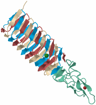 Image Biological Unit 3