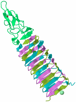 Image Biological Unit 4