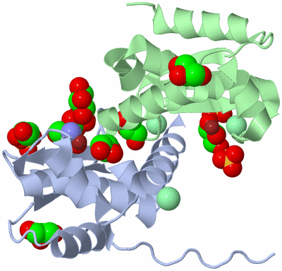 Image Asym./Biol. Unit