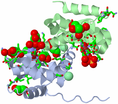 Image Asym./Biol. Unit - sites