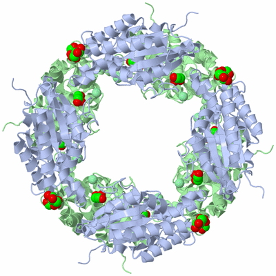 Image Biological Unit 1