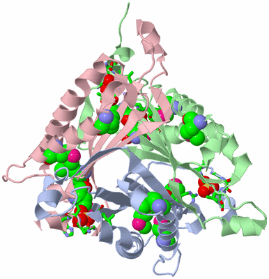 Image Asym./Biol. Unit - sites