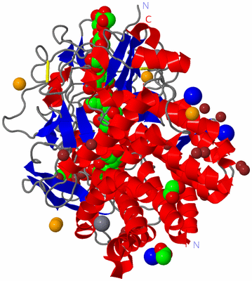 Image Asym./Biol. Unit