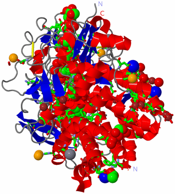 Image Asym./Biol. Unit - sites