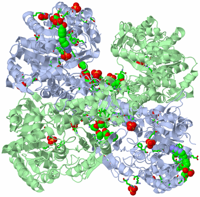 Image Biol. Unit 1 - sites