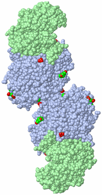 Image Biological Unit 2