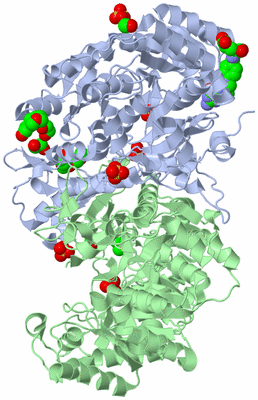 Image Biological Unit 3