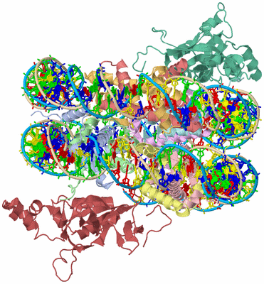 Image Asym./Biol. Unit