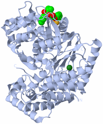 Image Biological Unit 1