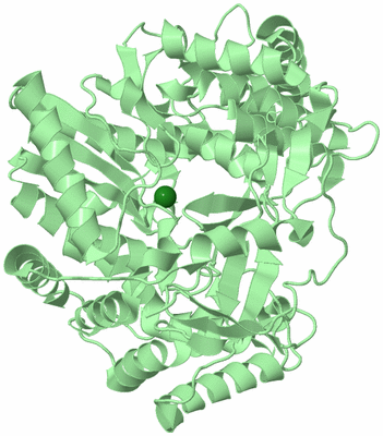 Image Biological Unit 2