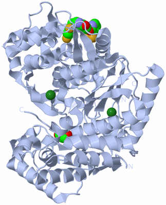 Image Biological Unit 1