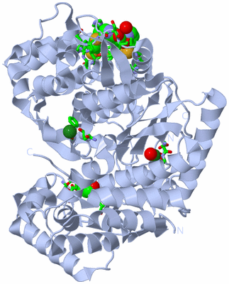 Image Biol. Unit 1 - sites