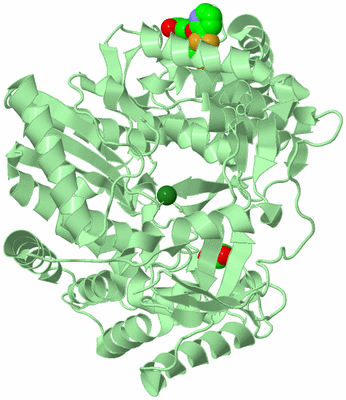 Image Biological Unit 2