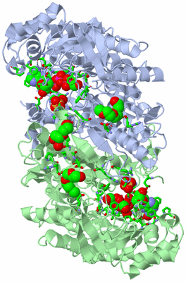 Image Biol. Unit 1 - sites