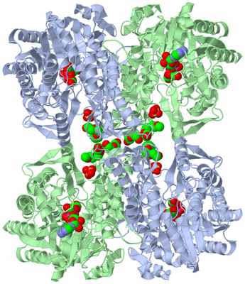 Image Biological Unit 2