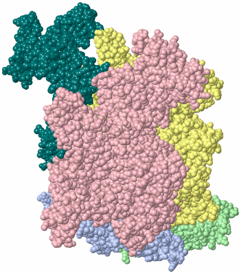 Image Biological Unit 1