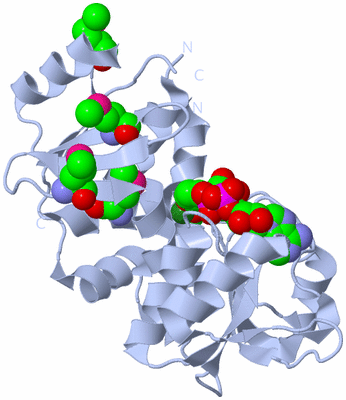 Image Biological Unit 1