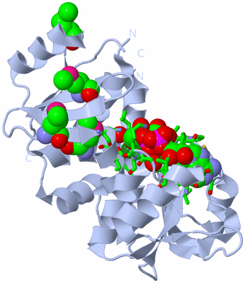 Image Biol. Unit 1 - sites