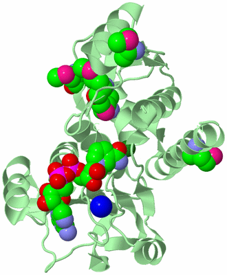 Image Biological Unit 2