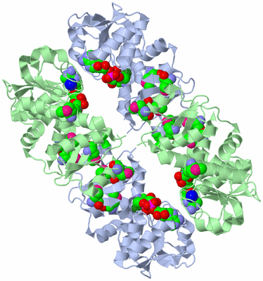 Image Biological Unit 3